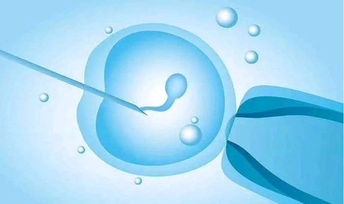 深圳供卵试管婴儿单周费用明细一览，2023借卵试管生男孩费用清单-代孕最靠谱