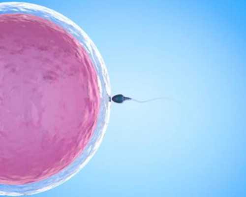武汉助孕包成功|哪些因素会影响取卵个数？美国试管专家如何解决？