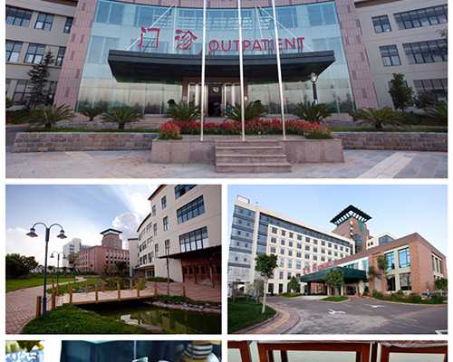 试管序贯移植双胎成功率