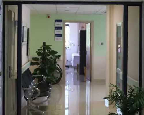 南宁借卵生男孩,北京排名最好的供卵机构有哪些,18家有3家可以开展三代供卵