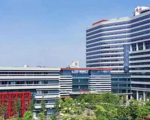 广西代孕公司可靠么|广西供卵试管医院_广西做试管最好的医院排名