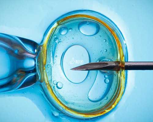 南宁代怀最新政策,医师您好 我是—个不孕犯 者,结婚八年了,经多方治疗无效