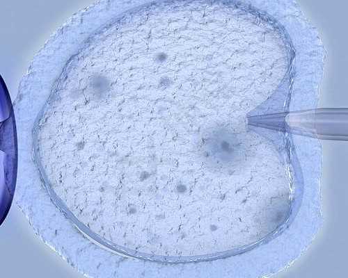 广西供卵生孩子公司 广西壮族自治区人民医院试管费用： ‘双顶径和心率看男