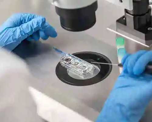 桂林质量与服务过硬的助孕|91385_做试管，夜针前千万不要忘记这件事！