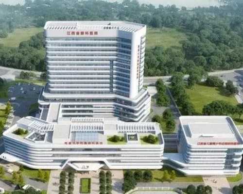 广西医院能借卵吗|广西试管医院排名,广西试管婴儿医院排名