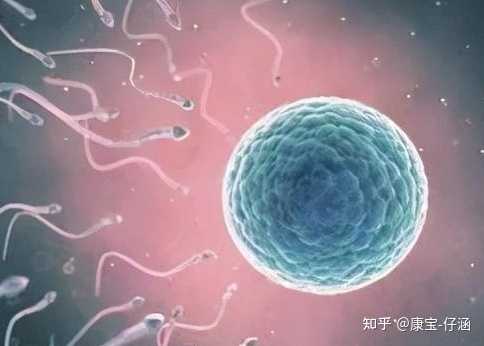 2022郑州供卵的私立机构最新发布，附供卵三代生男孩费用详情_试管做几代好